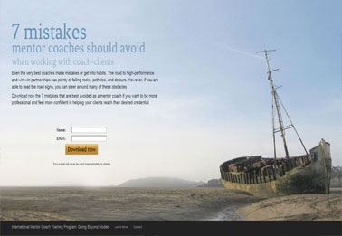 International Mentor Coach Program - USA / Holanda